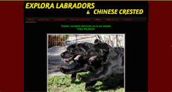 Desktop Screenshot of exploralabradors.com